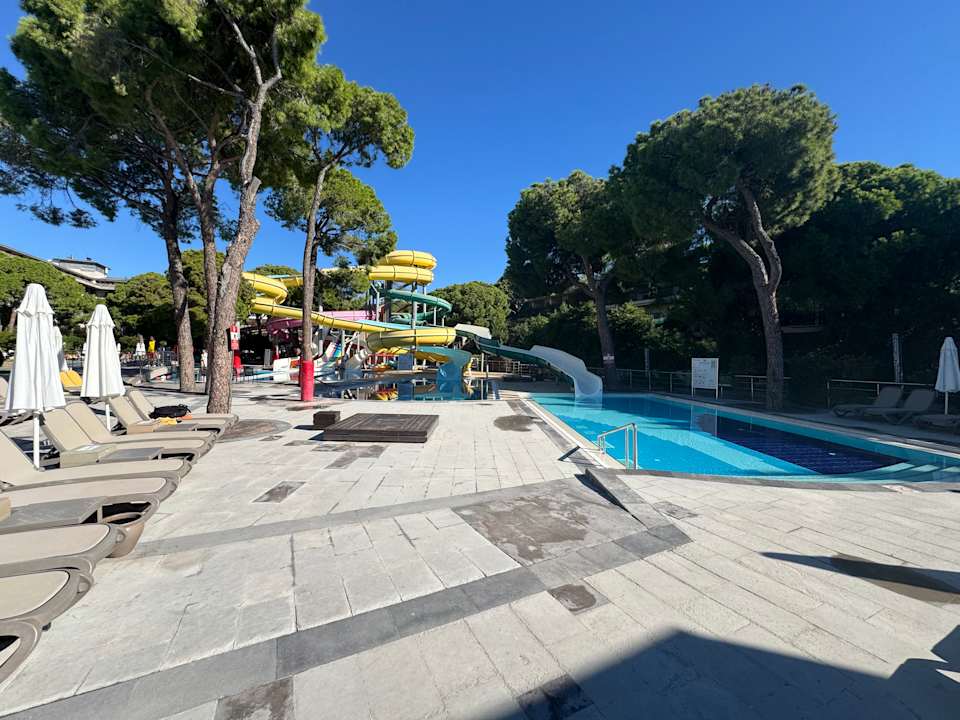 Pool Papillon Ayscha