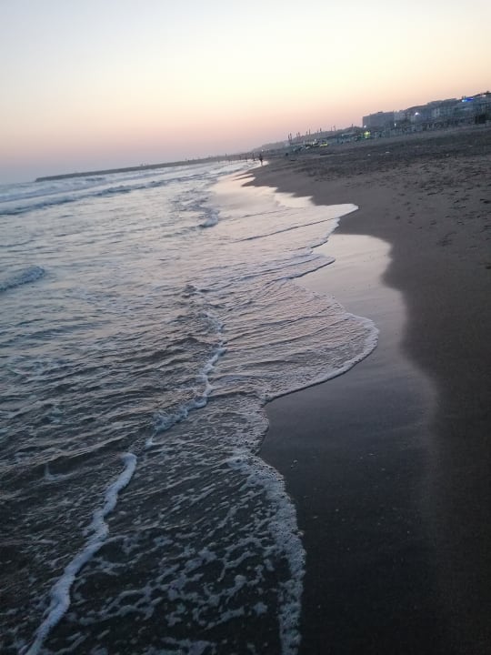 Strand Seashell Resort