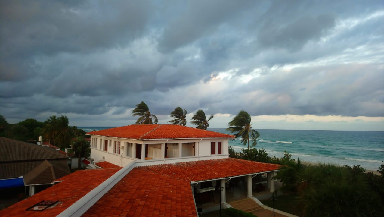 Ausblick Starfish Cuatro Palmas