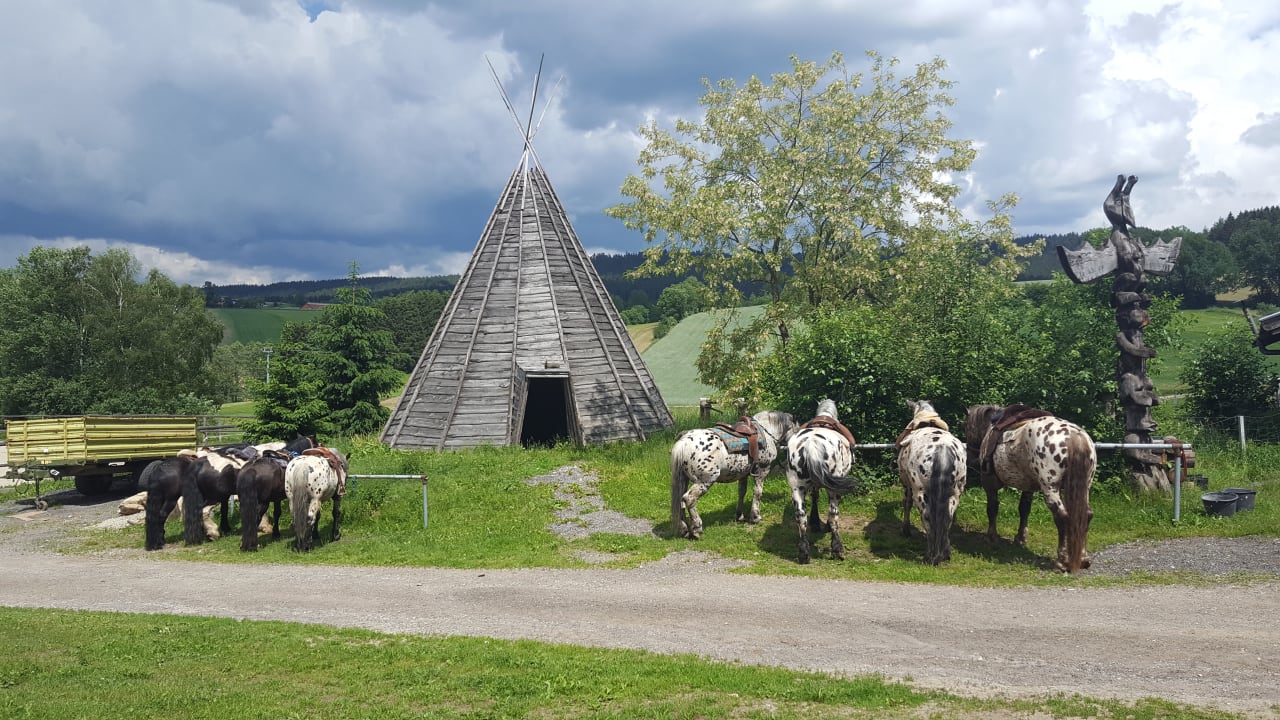 Unterwegs bei einer Mittagspause Tigerhill-Ranch-Norikerhof
