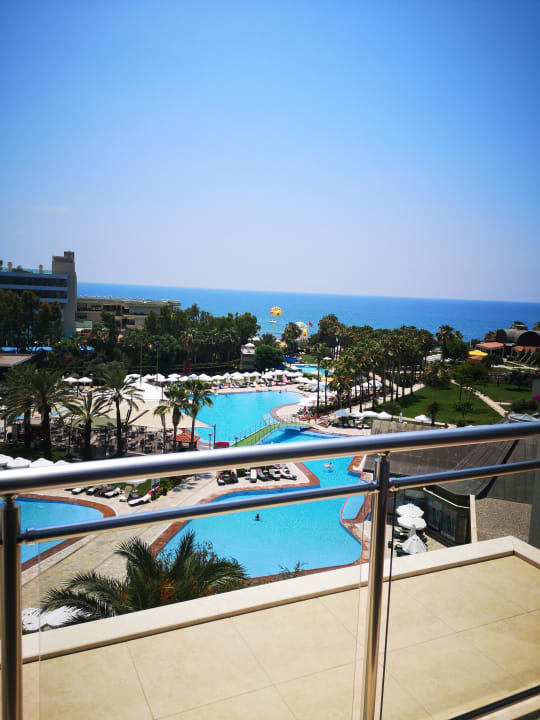 Zimmer Arum Barut Collection