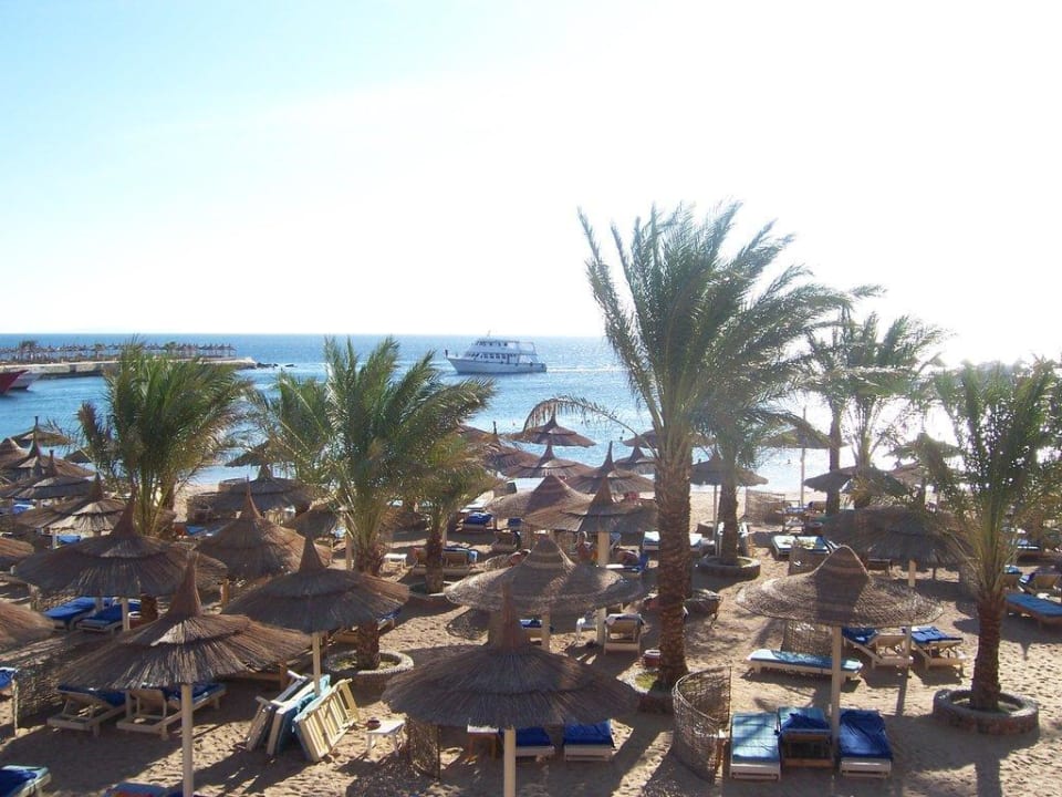 Plaża Beach Albatros Resort