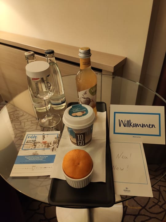 Zimmer Hilton Mainz