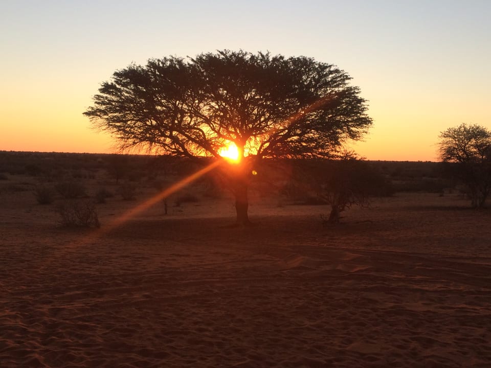 Sonstiges Kalahari Anib Lodge