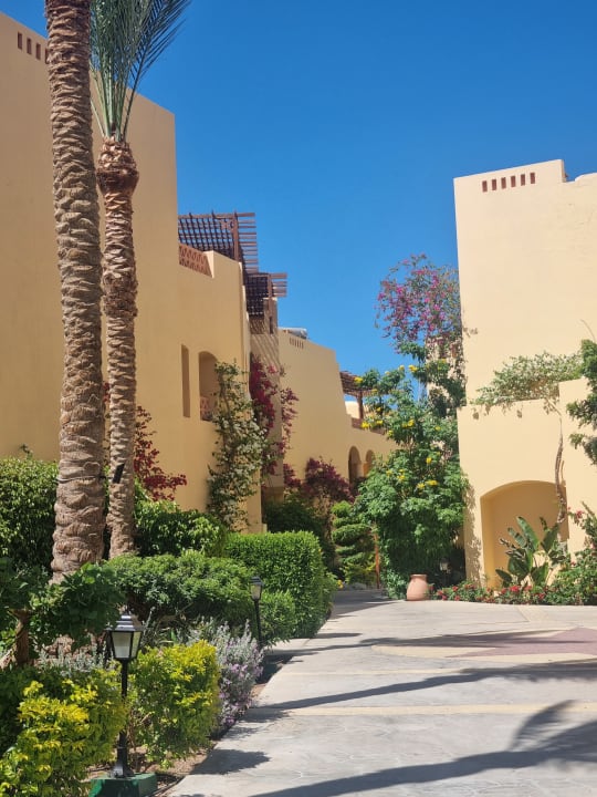 Gartenanlage Steigenberger Coraya Beach - Adults only