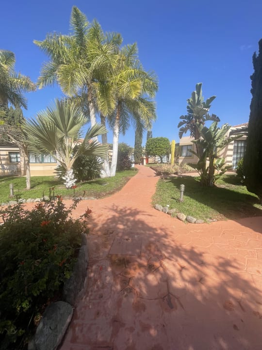 Gartenanlage allsun Hotel Esplendido