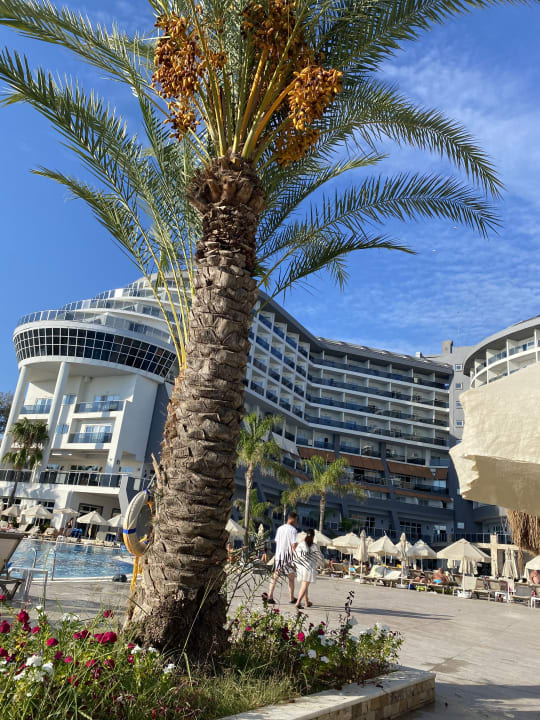 Außenansicht Seaden Sea Planet Resort & Spa