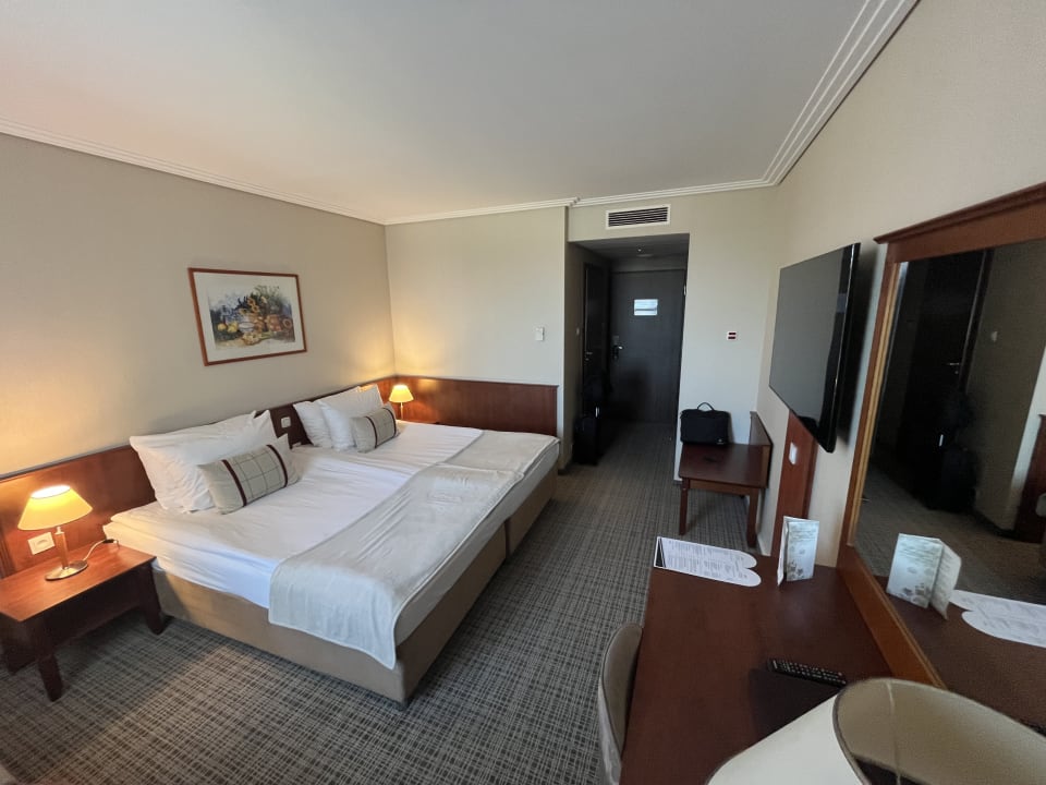 Zimmer Airport Hotel Okecie