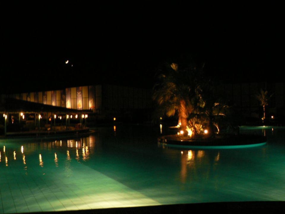 nächtliches Lichterspiel Desert Rose