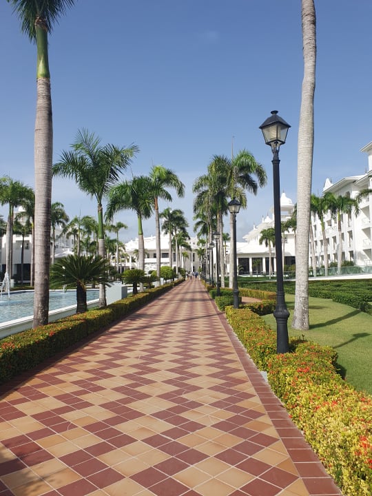 Gartenanlage Hotel Riu Palace Punta Cana