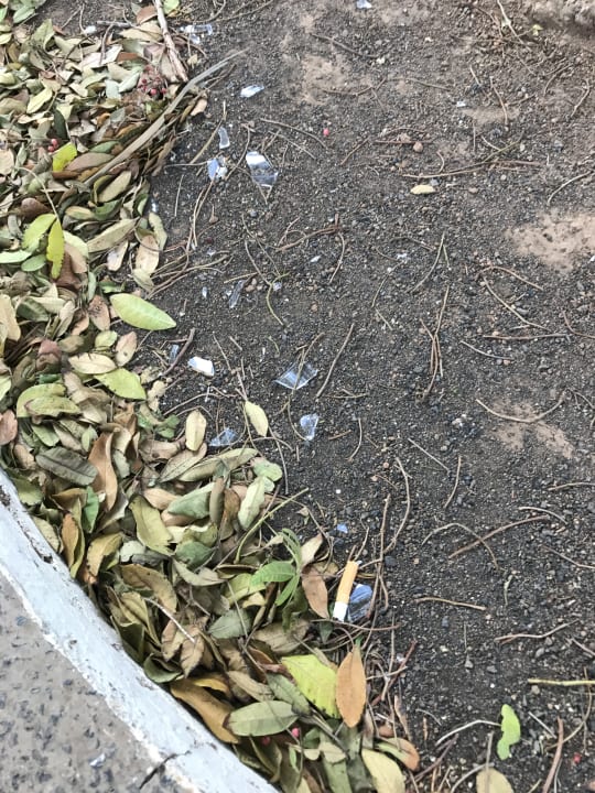 Gartenanlage Relaxia Olivina