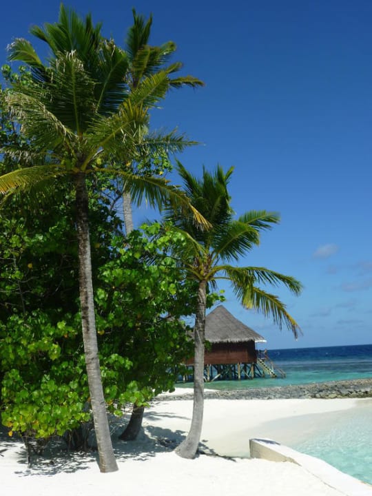 Strand im Paradies Mirihi Island Resort