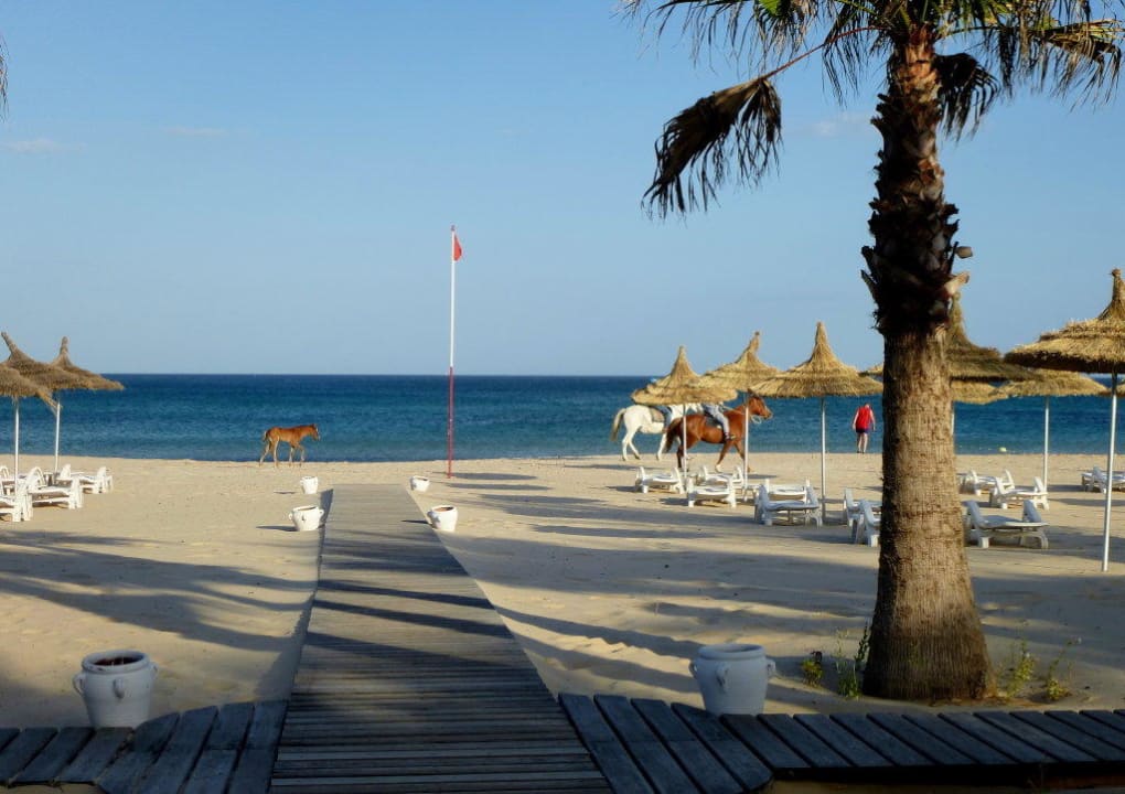 Weg zum Strand Oceana Hotel & Spa