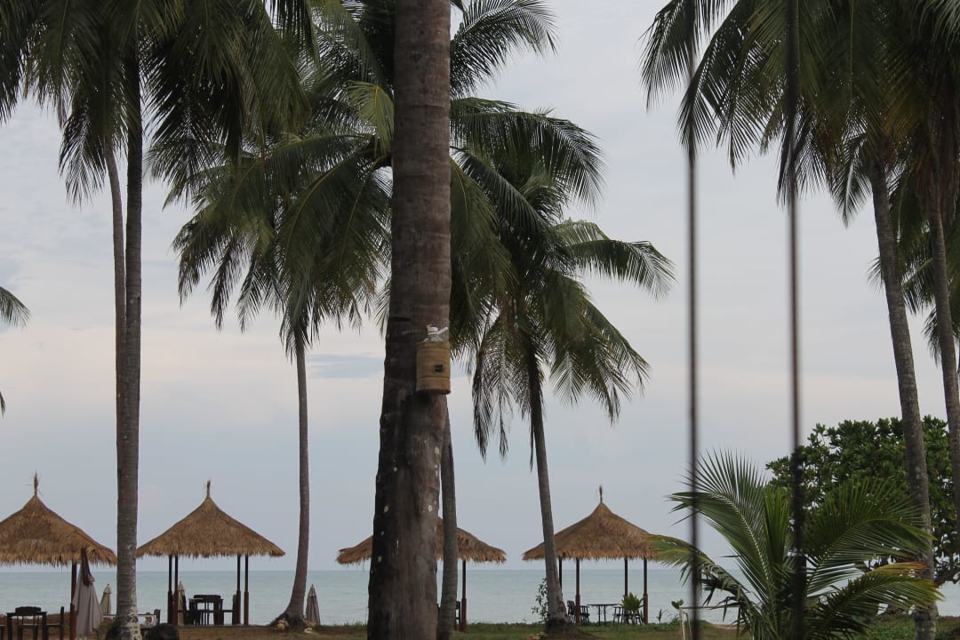 Vom Frühstück aus Kantary Beach Hotel - KHAO LAK