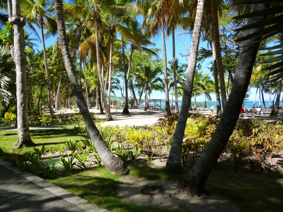 Am Strand Playabachata Hotel