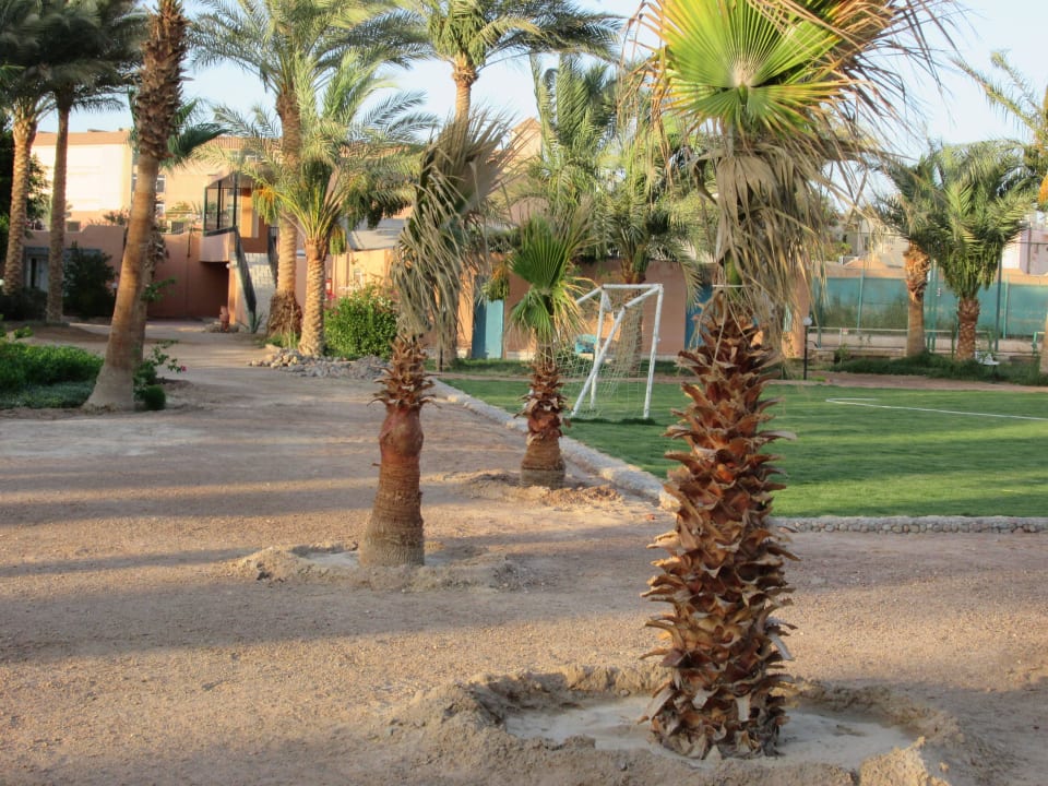 Zugang Fussballfeld Giftun Azur Resort