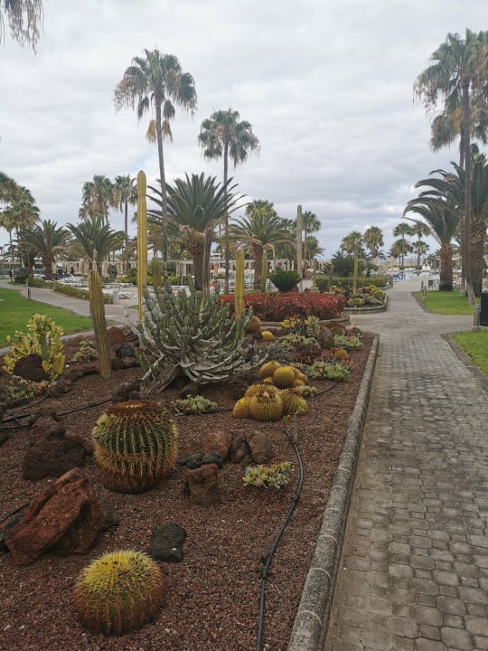 Gartenanlage Hotel Riu Gran Canaria