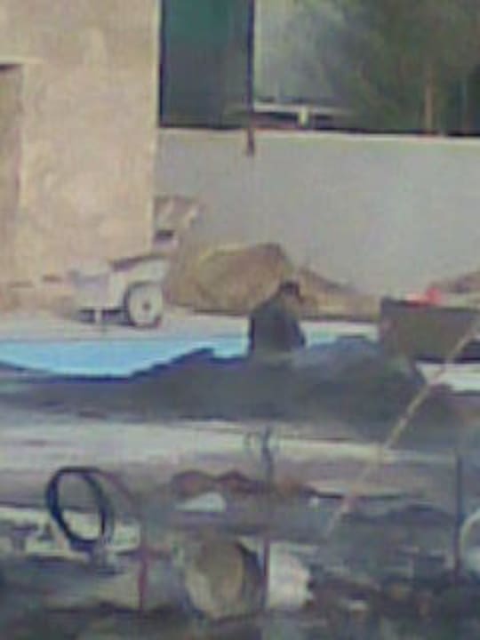 Die Pools werden bestimmt toll Sentido Trendy Verbena Beach