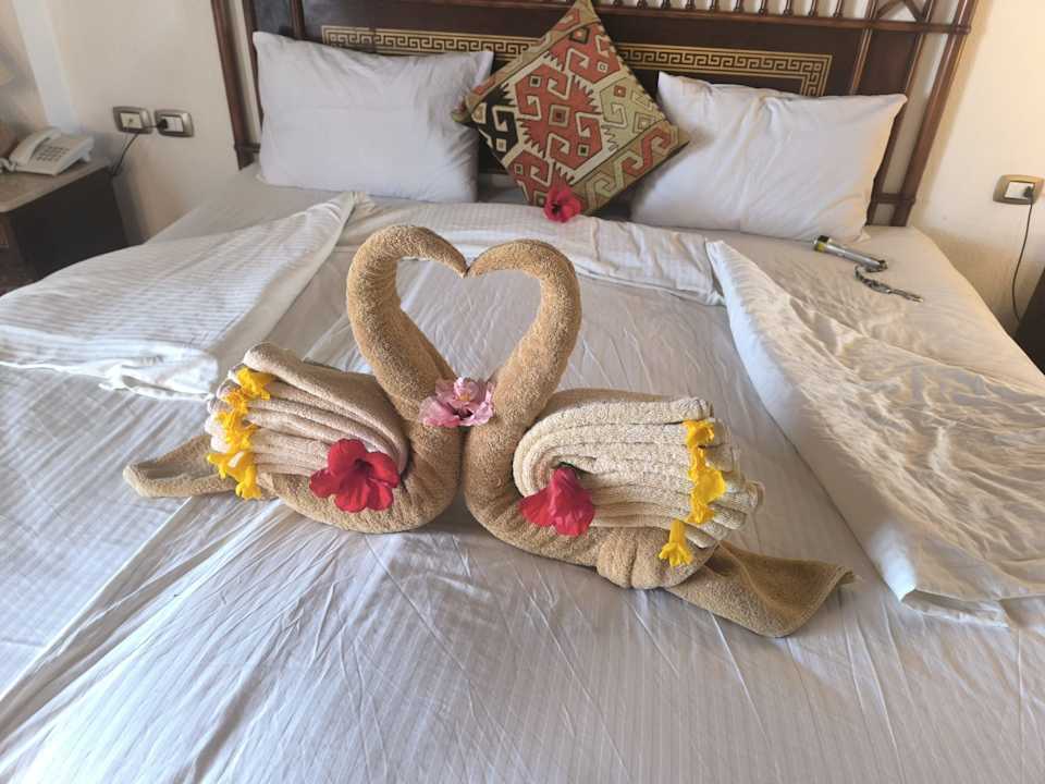 Zimmer Beach Safari Nubian Resort