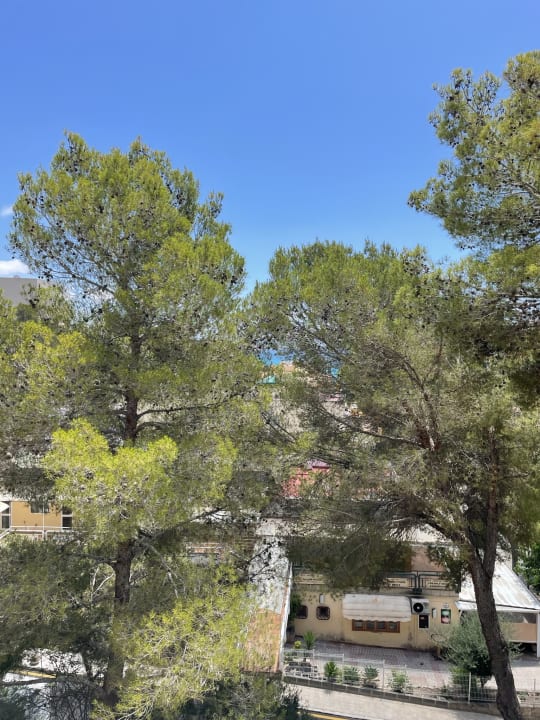 Ausblick HSM Solivera