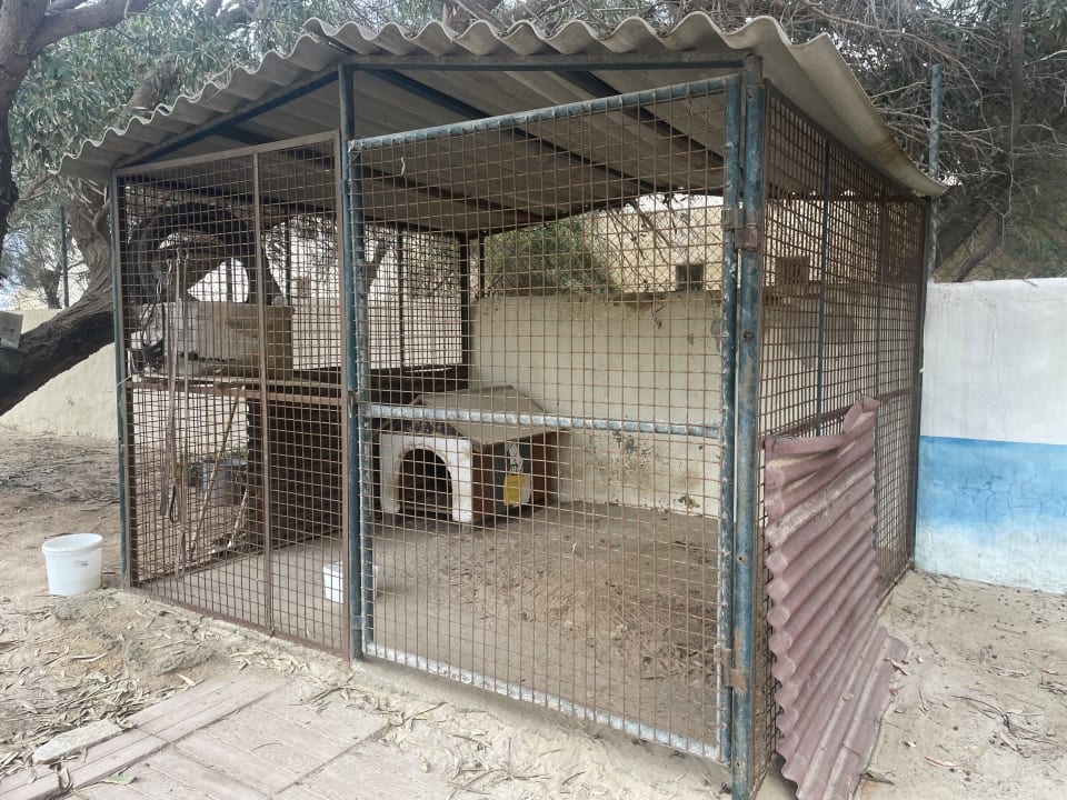 Sport & Freizeit TUI MAGIC LIFE Penelope Beach