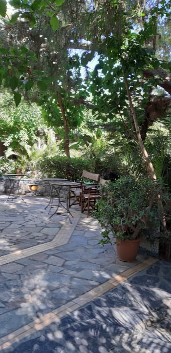 Gartenanlage Apollonia Beach Resort & Spa