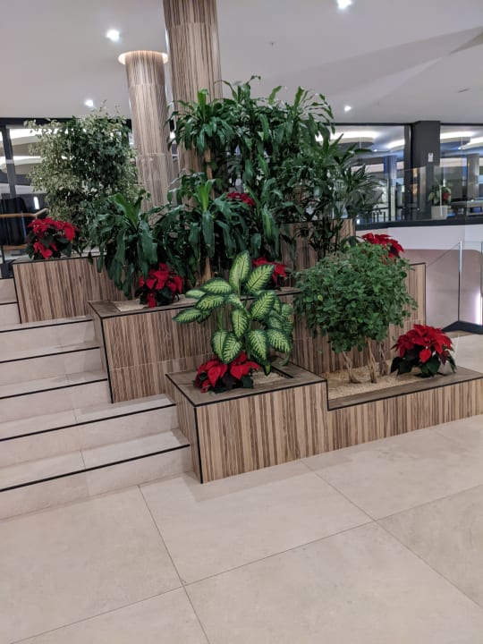 Lobby Hotel Riu Palace Jandia