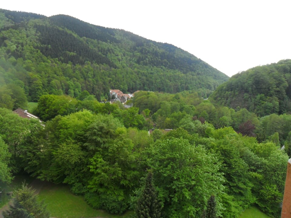 Auf den bewaldeten Hausberg Panoramic - Ihr Apartmenthotel im Harz