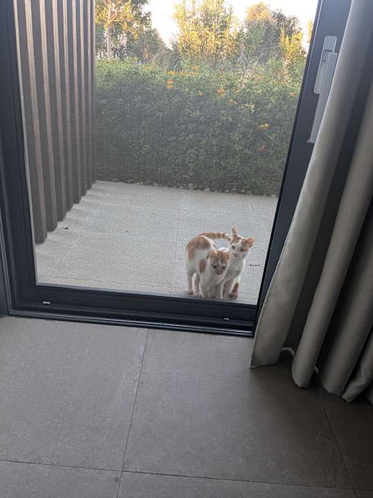 Zimmer Gennadi Grand Resort