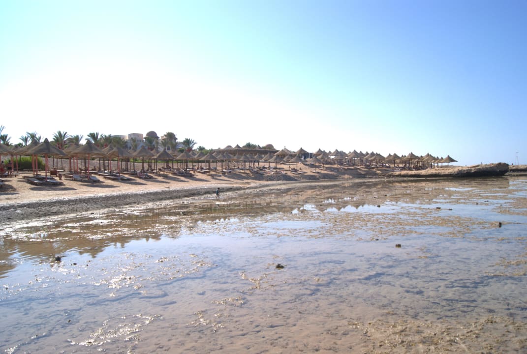 Plaża i odpływ Serenity Alpha Beach