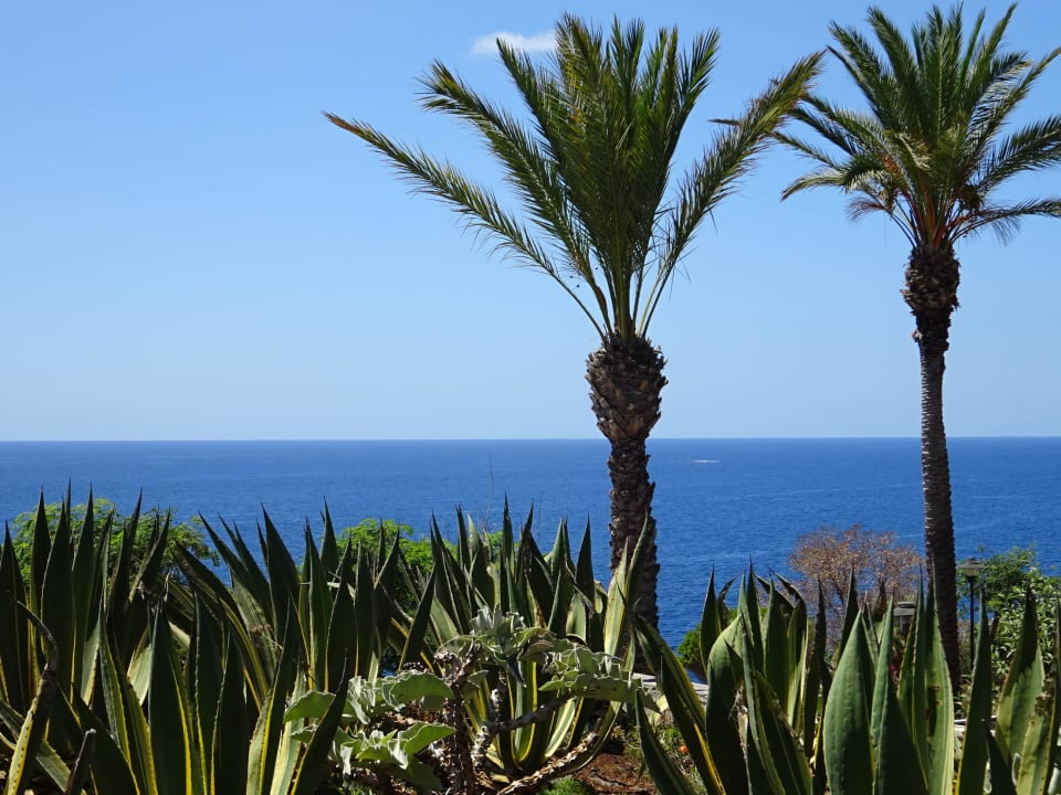 Garten - Ausblick Pestana Grand Ocean Resort