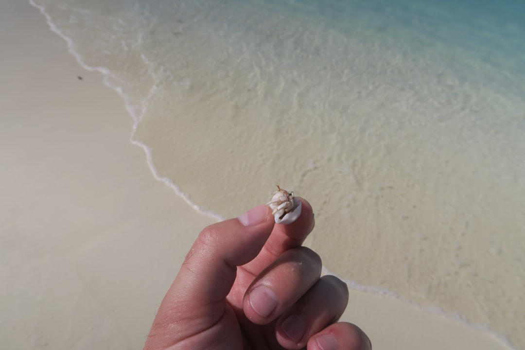 Strand Adaaran Select Meedhupparu Island Resort - Premium All Inclusive