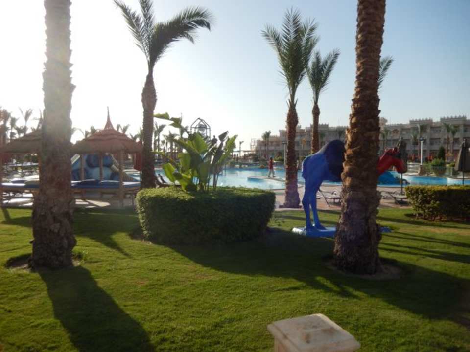 Pool Pickalbatros Palace Resort