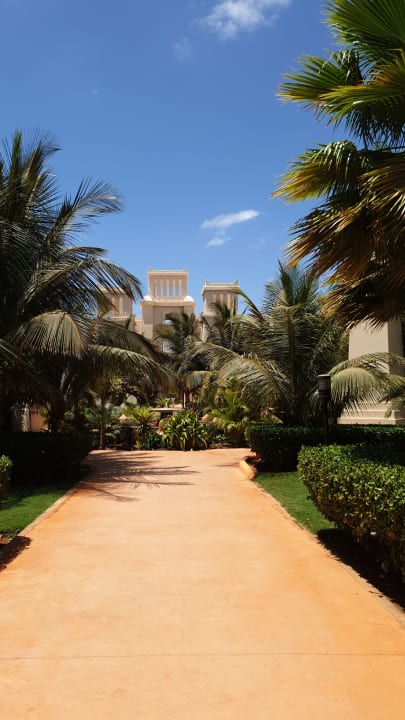 Garten Hotel Riu Touareg