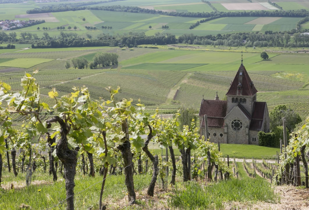 Ausblick Hofgut Wißberg - Das Weinberghotel
