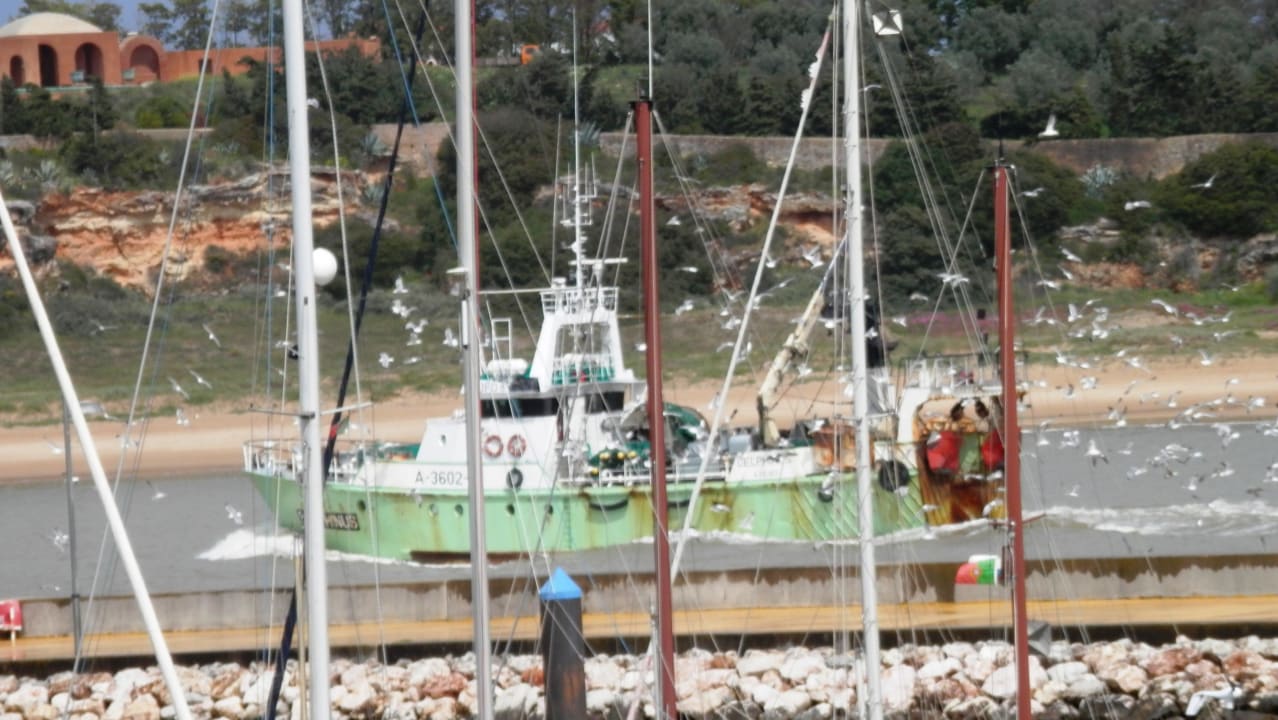 Vom Balkon NH Marina Portimão Resort