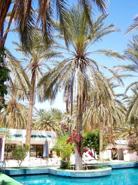 Restaurace Hotel Le Saharien Paradise