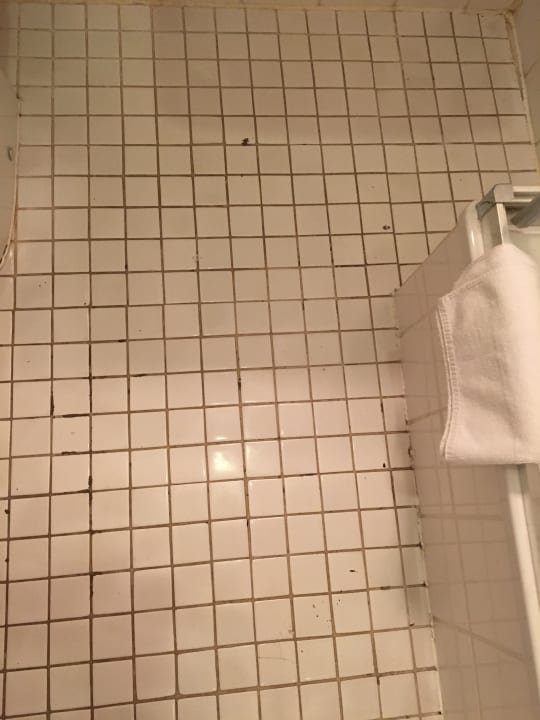 Zimmer Queen's Park Hotel