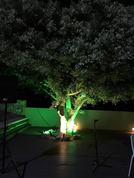 Pool abends Domes Aulus Elounda All-Inclusive Resort, Curio Collection by Hilton