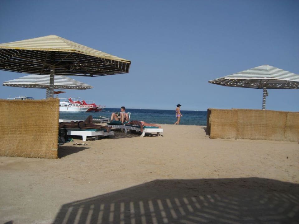 Da ist er ja, der Strand Menaville Safaga