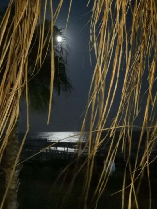 Ausblick Sherwood Dreams Resort