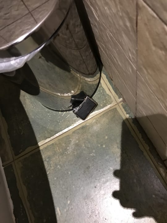 Zimmer Occidental Jandía Mar