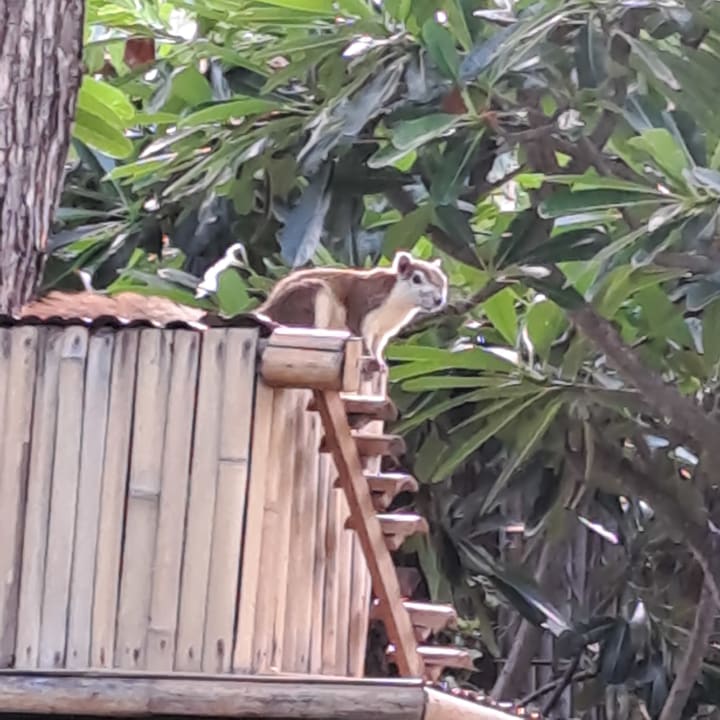 Gartenanlage Buri Rasa Village Samui Adults Only Resort