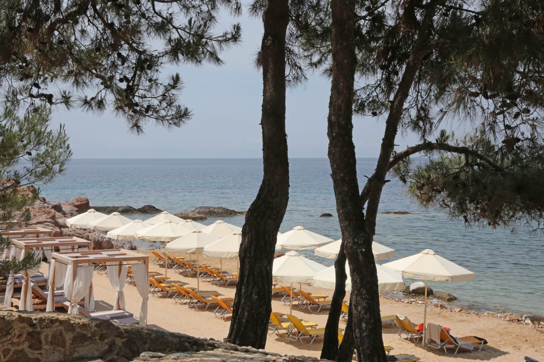 Strand Hotel Royal Paradise Beach Resort & Spa