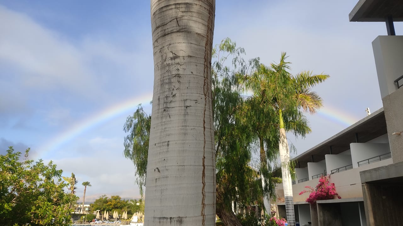 Außenansicht Hotel Costa Calero