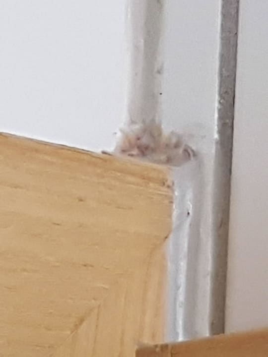 Rechte obere Ecke der Badezimmertür Hotel Am Kamin