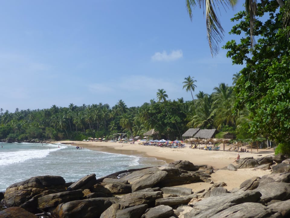 Strand  Palm Paradise Cabanas
