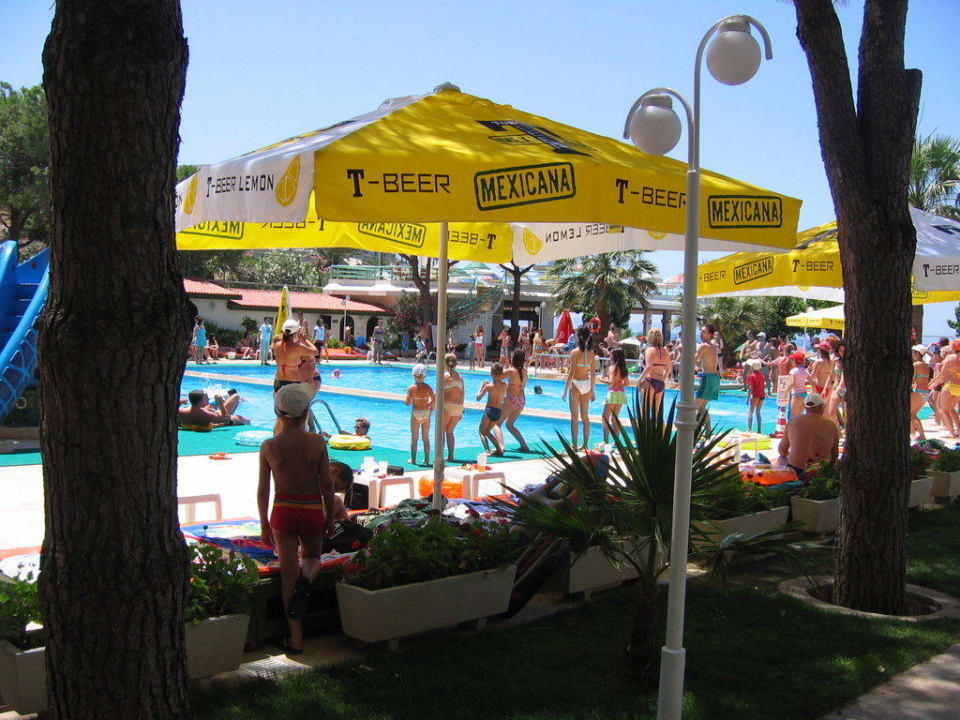 Gymnastik am Pool Hotel Grand Efe