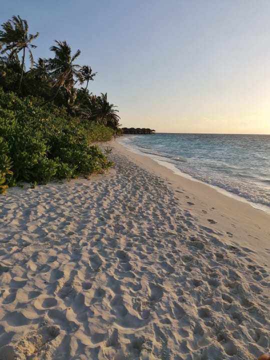 Strand Fihalhohi Maldives