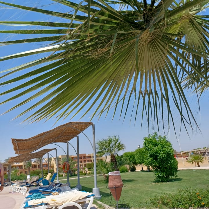 Gartenanlage Malikia Resort Abu Dabbab